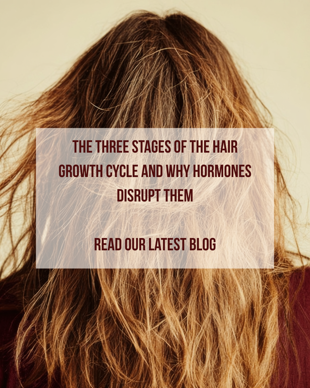 The Three Stages of the Hair Growth Cycle and Why Hormones Disrupt Them