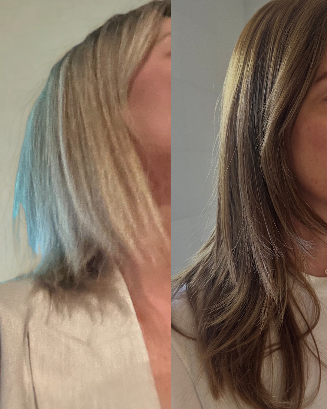 Before-and-after split comparison of a person's hair, showing a light blonde/grayish hair color on the left and a warmer brown highlighted blonde color on the right.