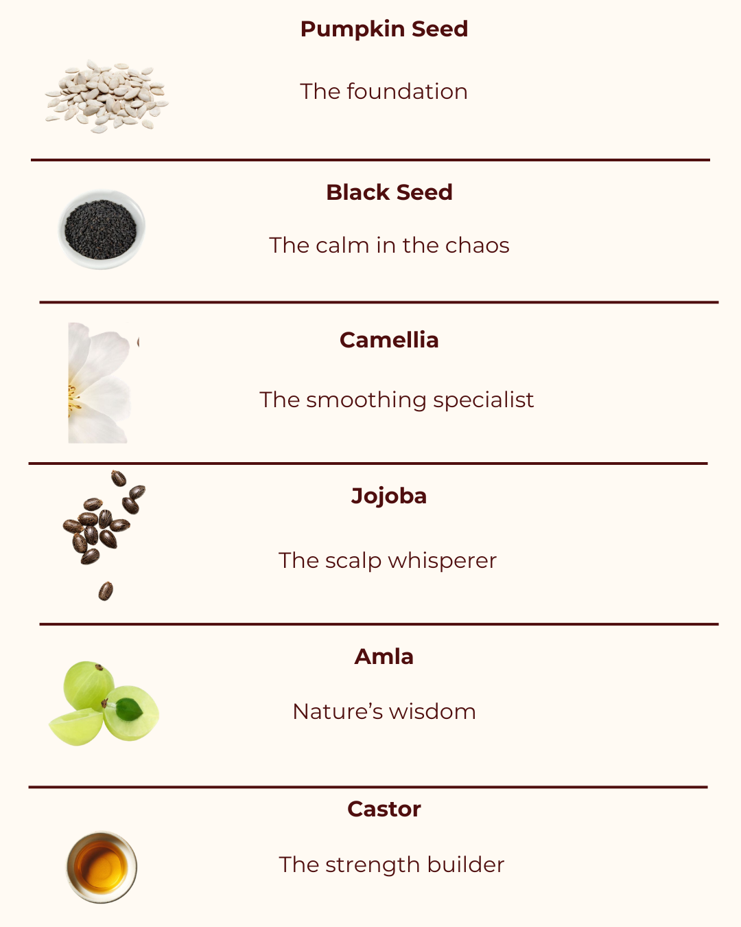 A vertical infographic listing six hair and skin care ingredients with names, small ingredient photos, and short descriptions on a light cream background: Pumpkin Seed, Black Seed, Camellia, Jojoba, Amla, and Castor.